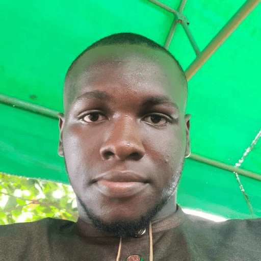 Abdulsalam Oluwaseun Ayeleru